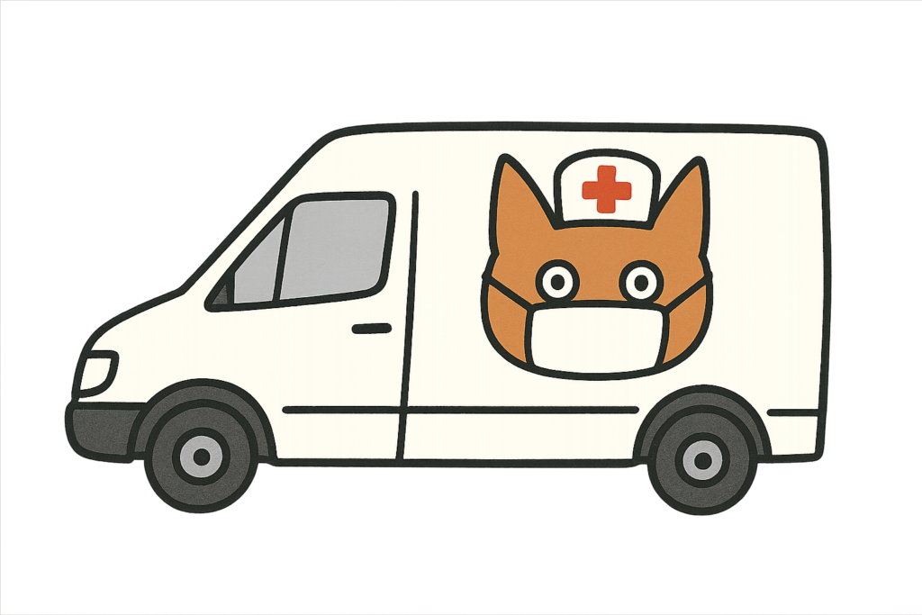 kattencastratie project