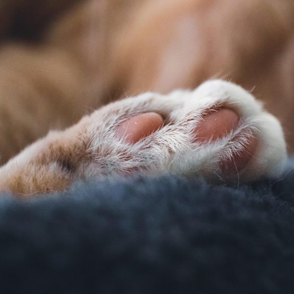 Vraag van de maand: Augustus