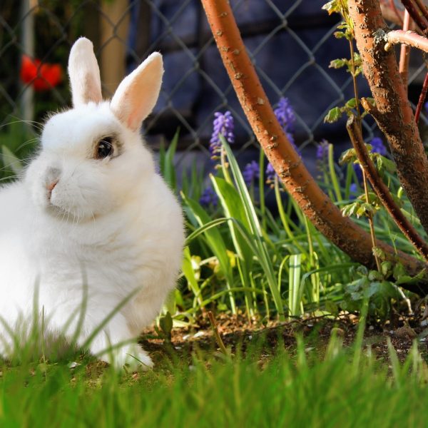 Vraag van de maand: April