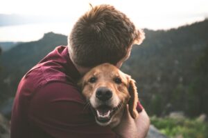 hond euthanasie