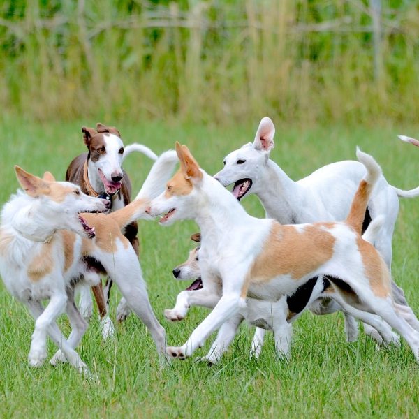 Vraag van de maand: Juli