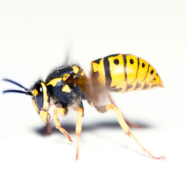 Vraag van de maand: Augustus