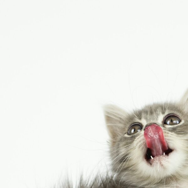 Vraag van de maand: Juni