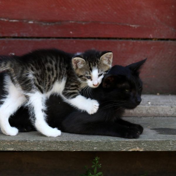 Vraag van de maand: Augustus